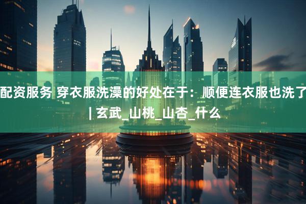 配资服务 穿衣服洗澡的好处在于：顺便连衣服也洗了 | 玄武_山桃_山杏_什么